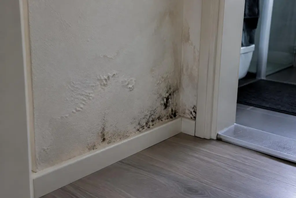 Lekdetectie Haastrecht – vochtplek met schimmel op een muur